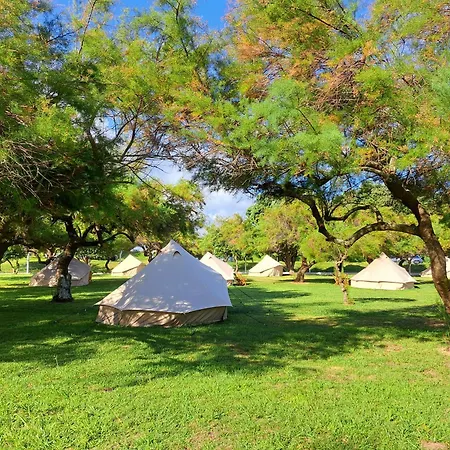 Bearsu Nature Almoxarife *