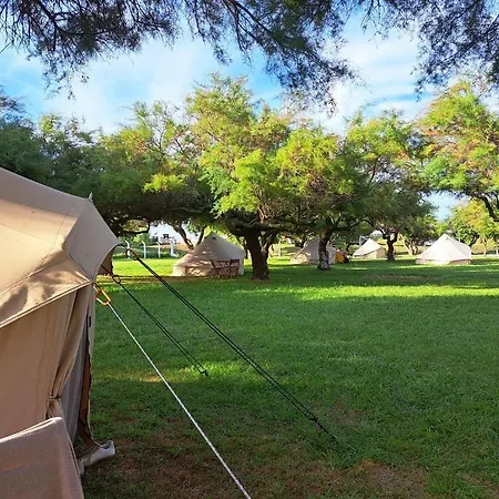 Bearsu Nature Almoxarife Campsite Horta (Azores)