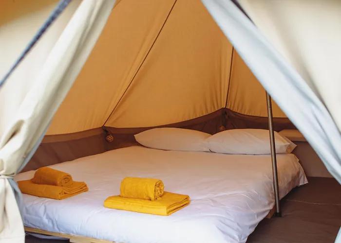 Kemp Bearsu Nature Almoxarife *