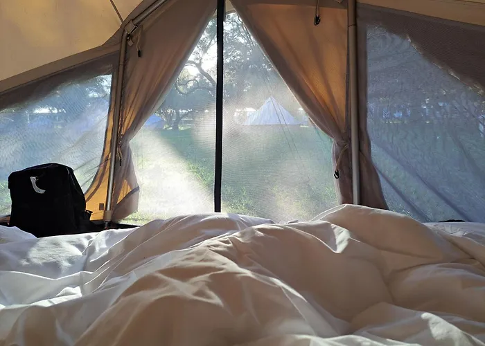 Bearsu Nature Almoxarife Kemp