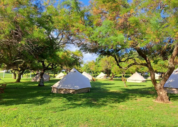 Bearsu Nature Almoxarife *