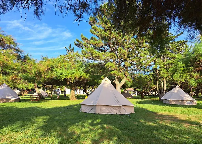 Bearsu Nature Almoxarife Kemp *